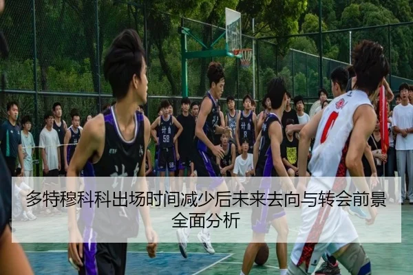 多特穆科科出场时间减少后未来去向与转会前景全面分析